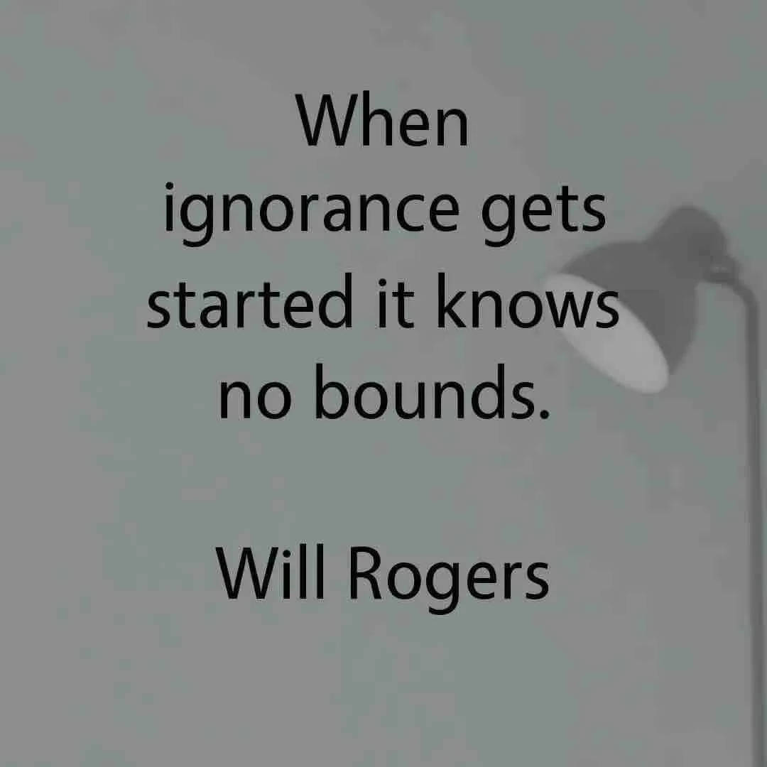 Bounds Of Being Ignorant Background