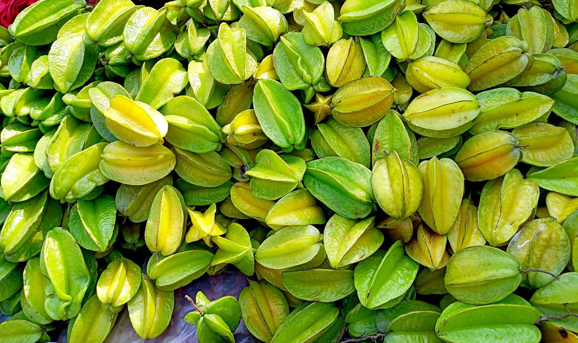 Bountiful Carambola Harvests Background