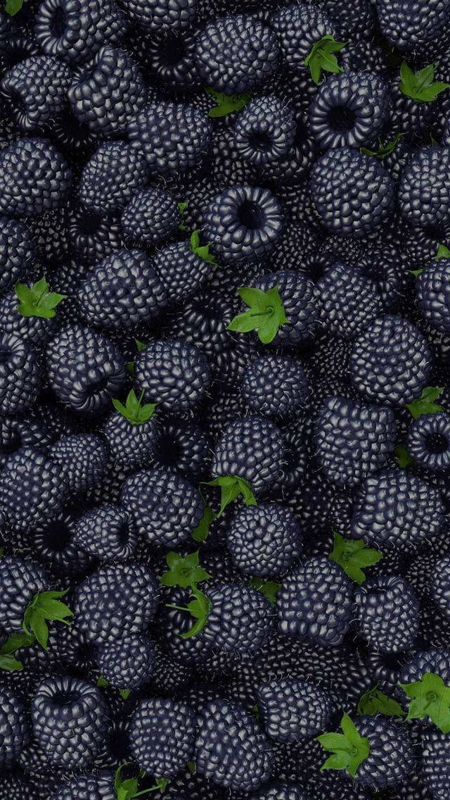 Bountiful Harvest Boysenberry Background