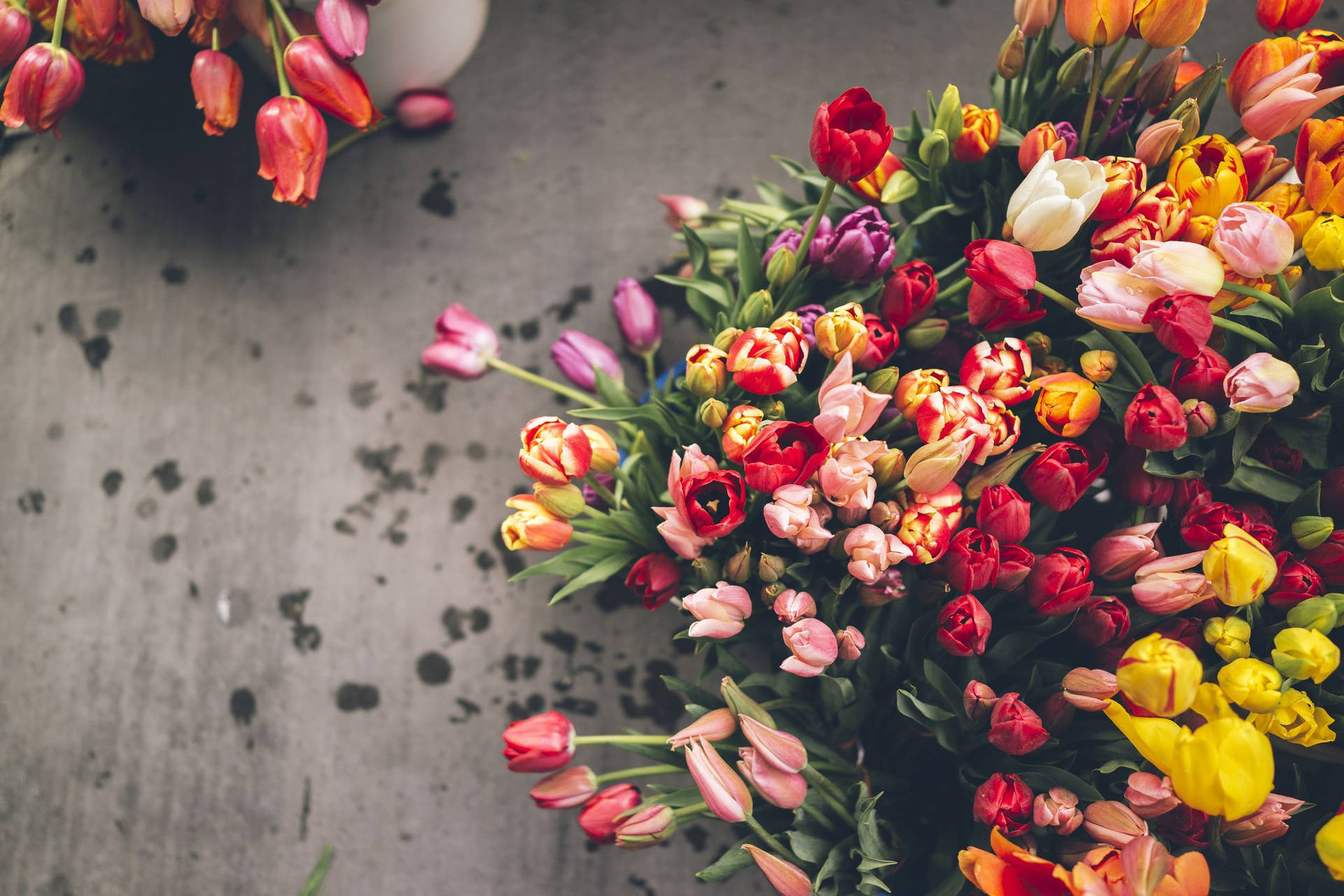 Bouquet Of Dripping Tulips Background