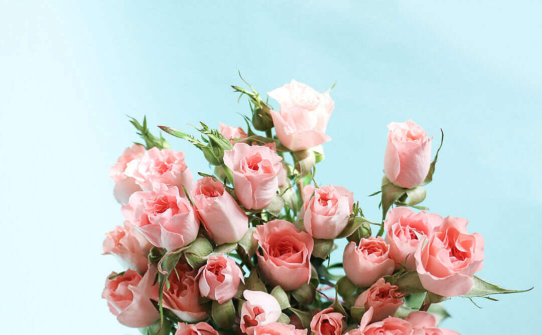 Bouquet Of Flowers In Pastel Pink Aesthetic Background