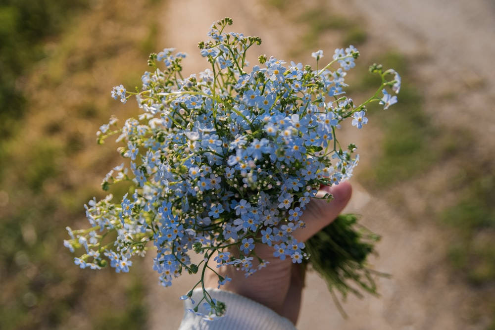 Bouquet Of Forget Me Not Flowers