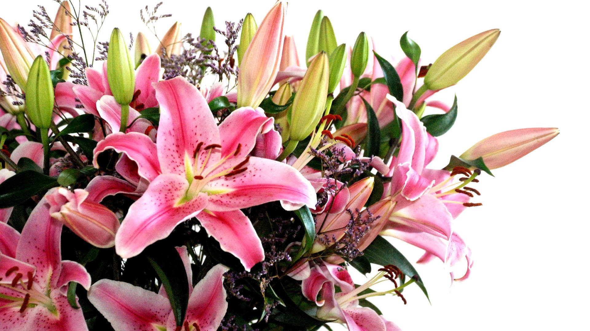 Bouquet Of Madonna And Easter Lilies Background