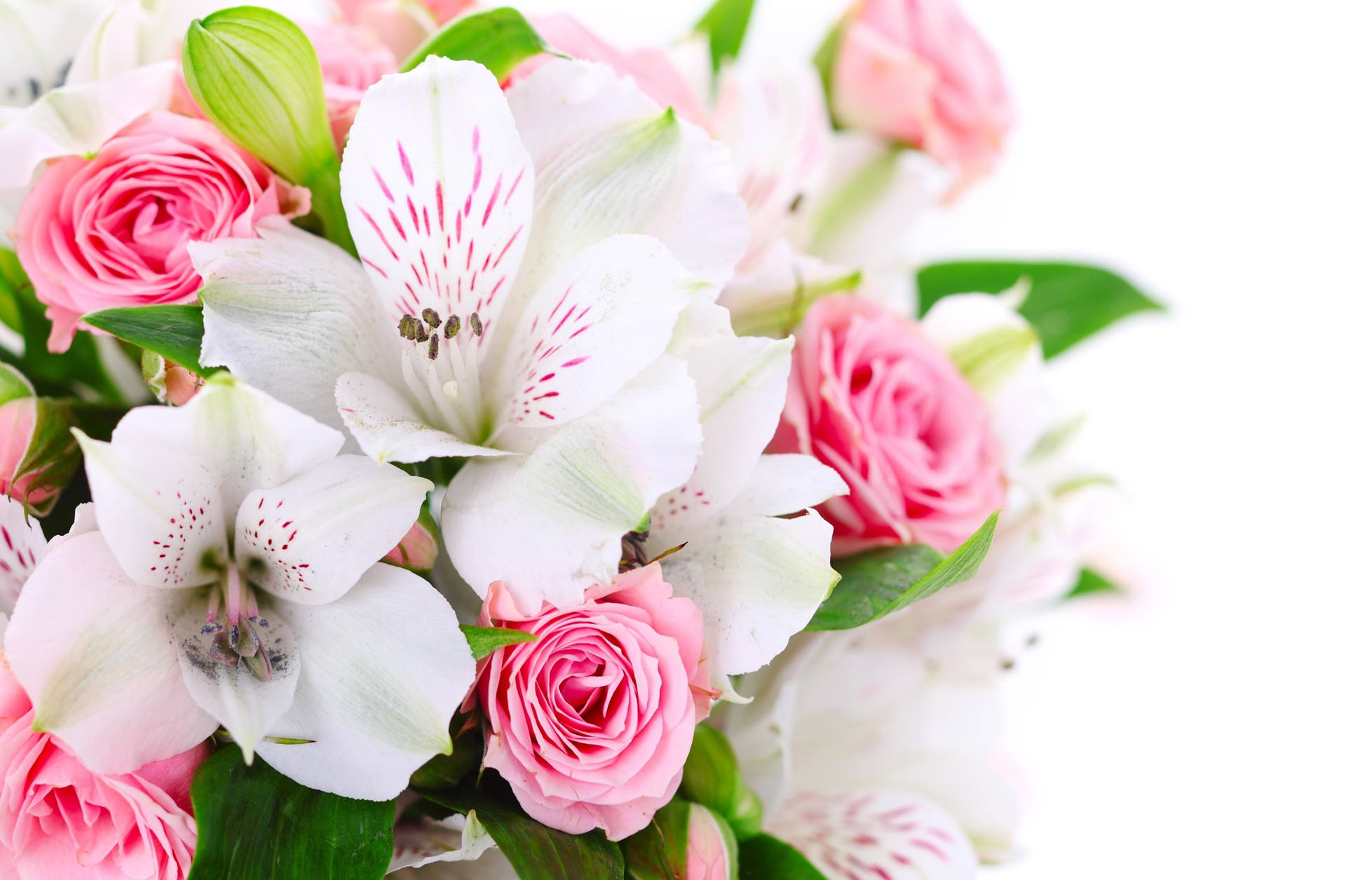 Bouquet Of Peruvian Lilies Background