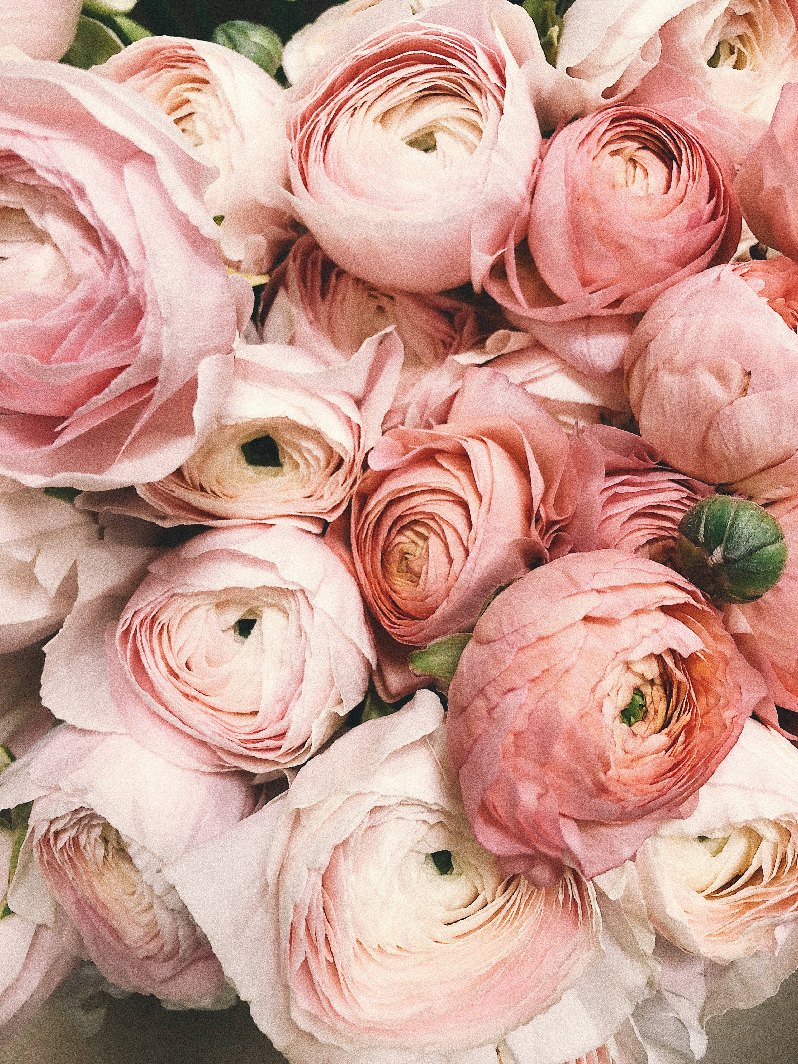 Bouquet Of Pink Flowers Aesthetic Background