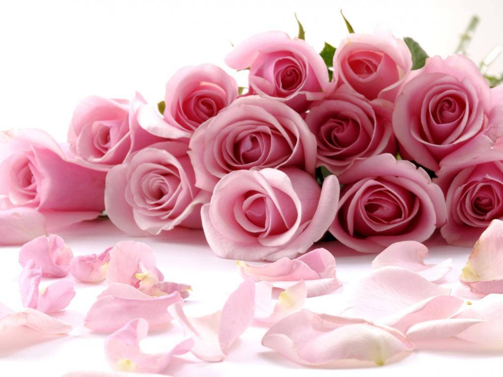 Bouquet Of Pink Rose Flowers Background