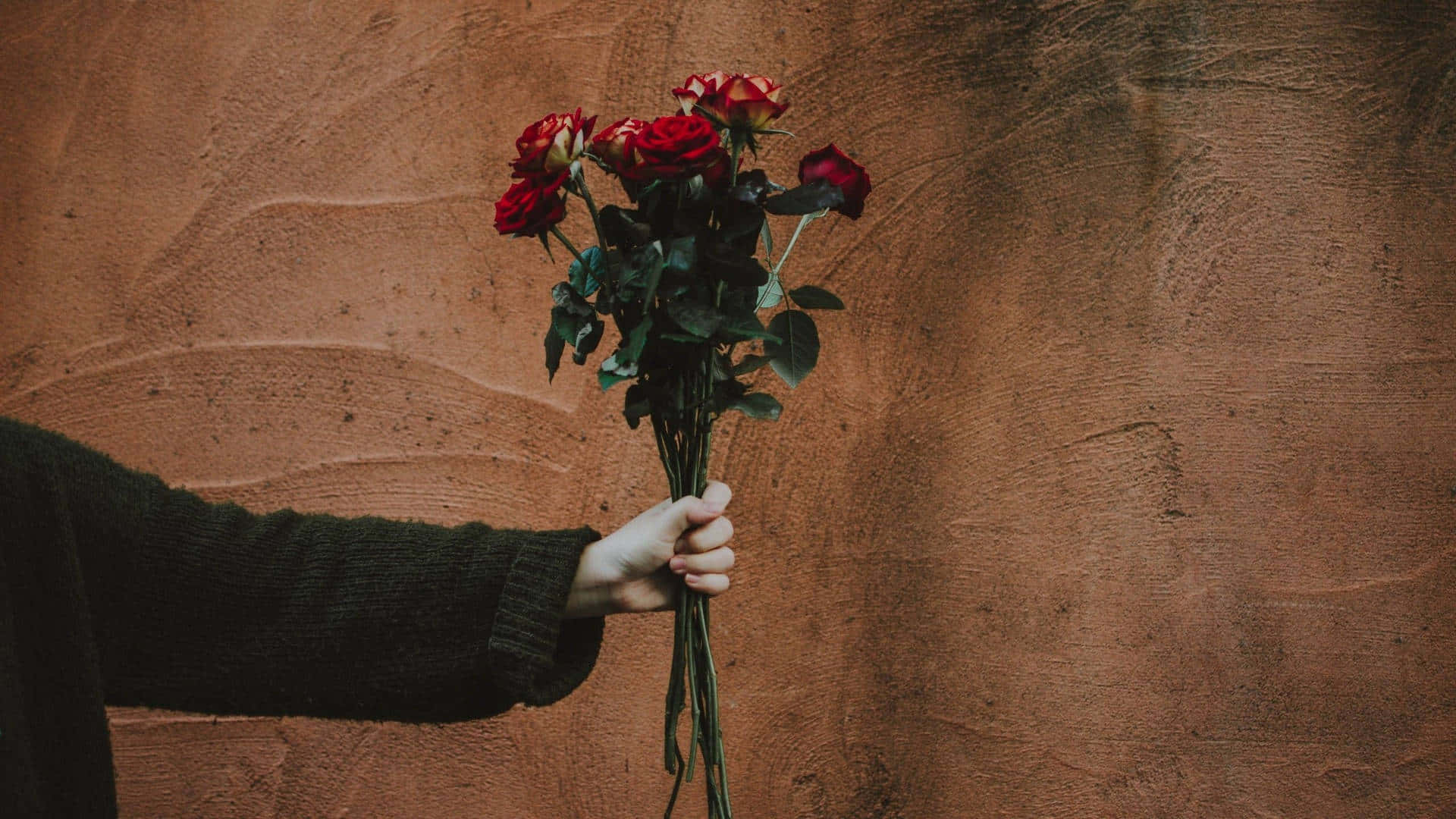 Bouquet_of_ Roses_ Against_ Brown_ Wall.jpg Background