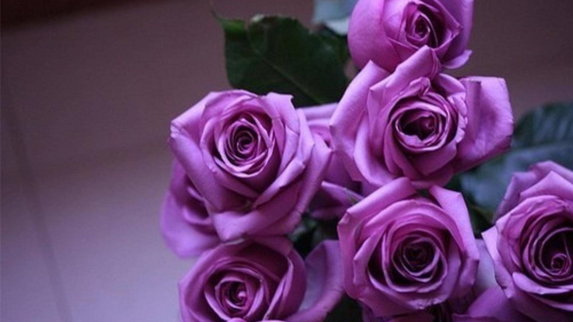 Bouquet Of Roses Purple Flowers Background