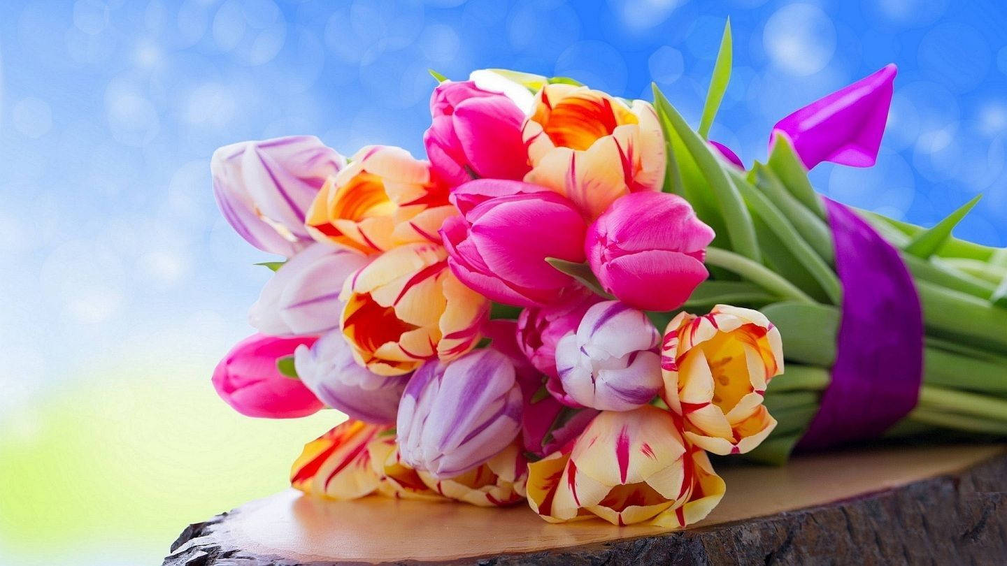 Bouquet Of Tulips On Log Background