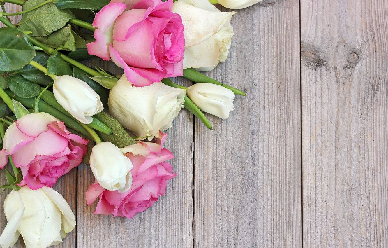 Bouquet Of White Tulips And Roses Background