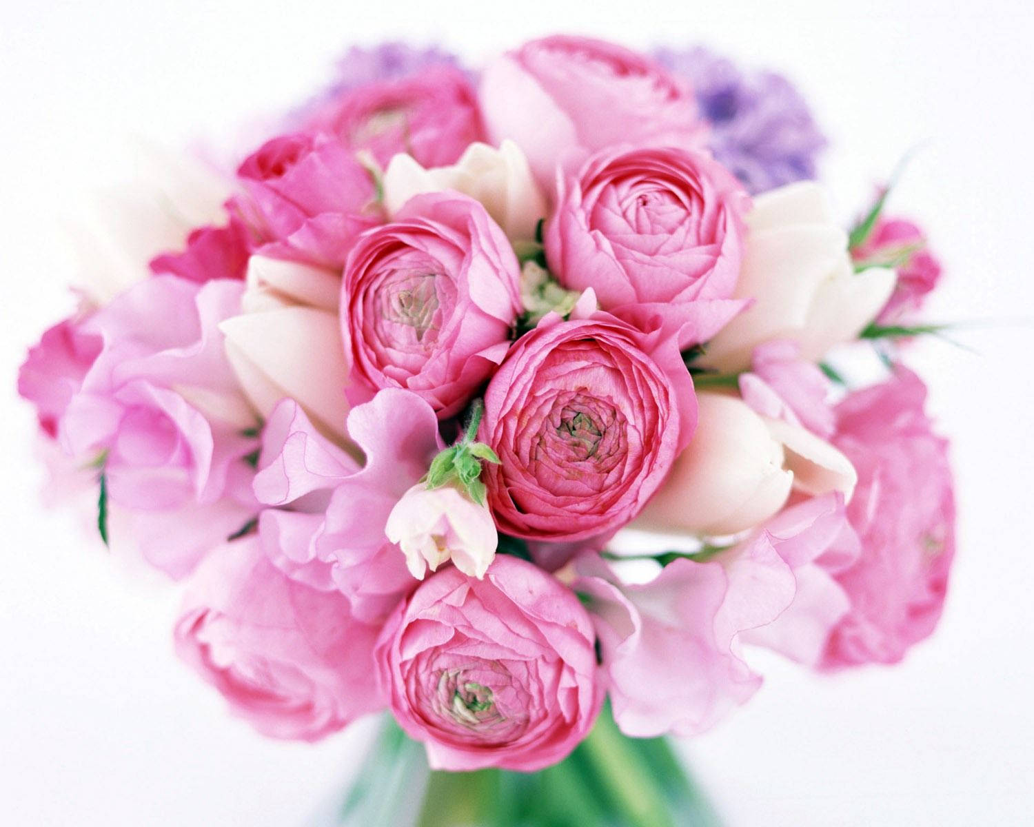 Bouquet Pink Roses And White Tulips Background