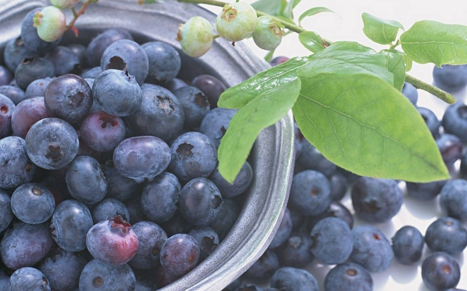 Bowl Of Blueberries Background