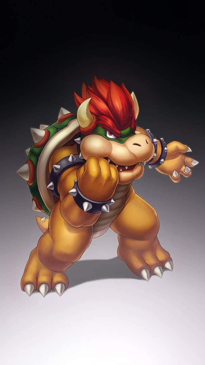 Bowser, King Of The Koopas Background