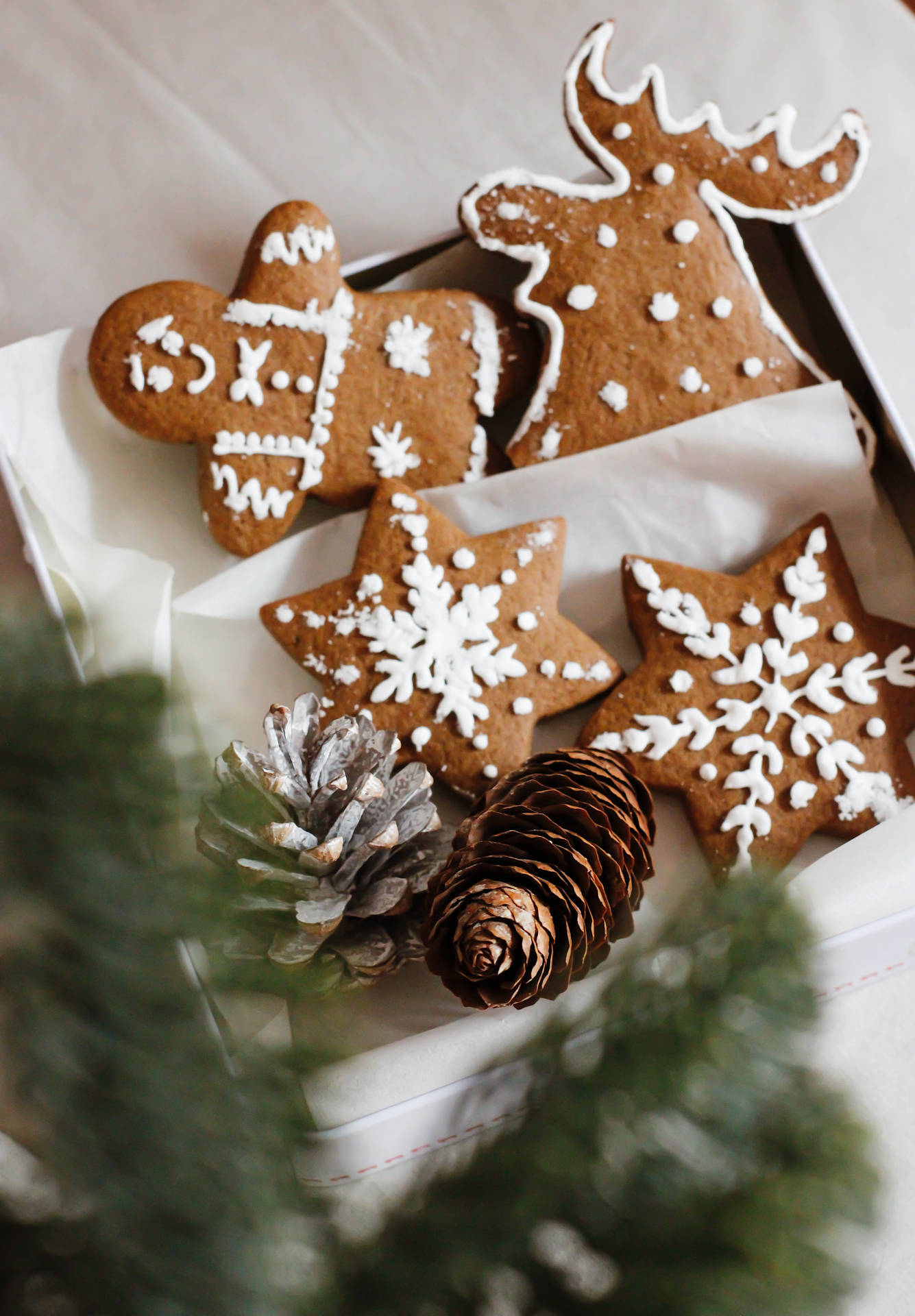 Box Of Gingerbreads