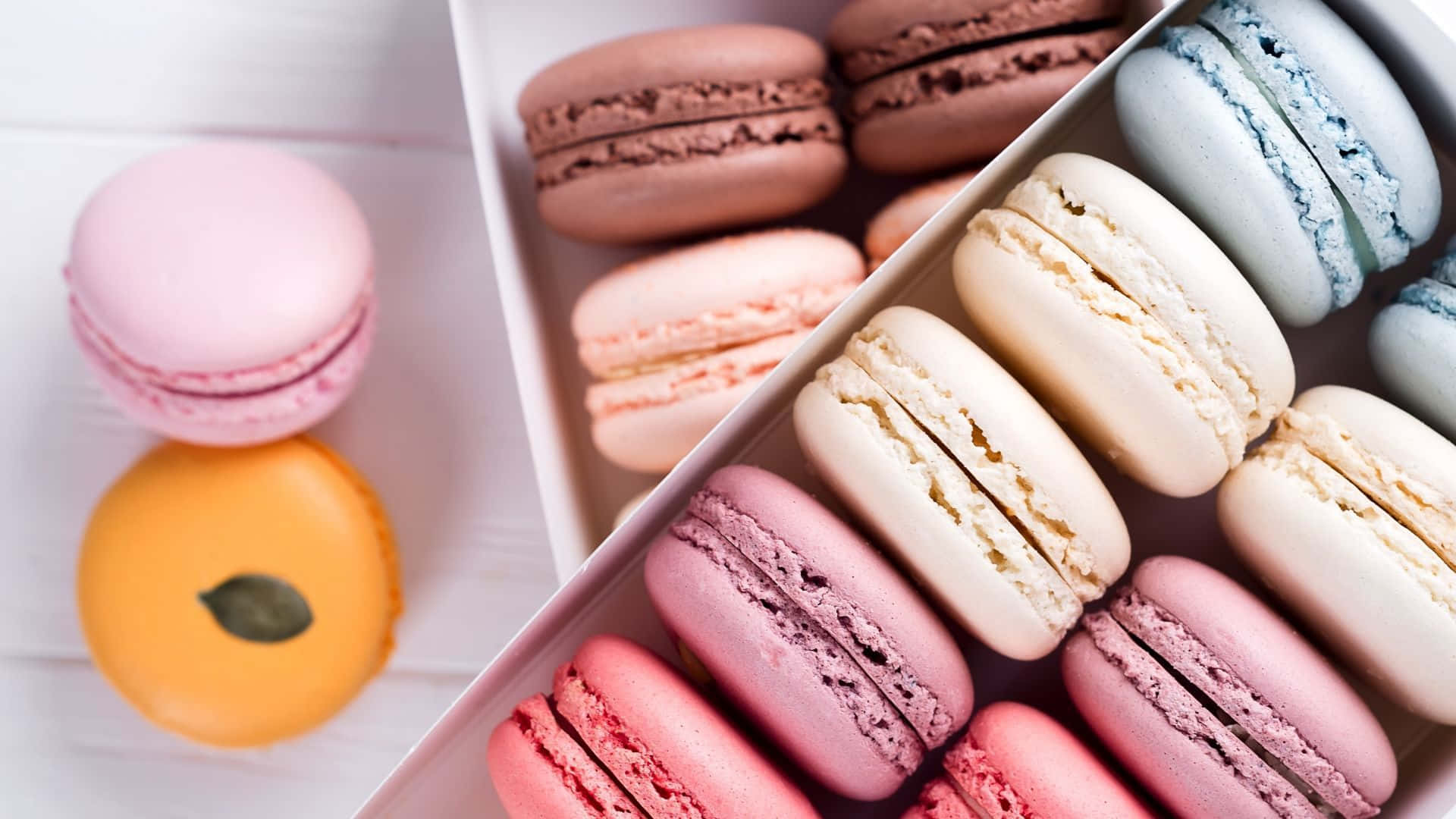 Boxed Yummy Macaroons
