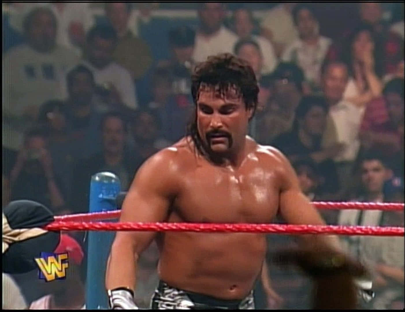 Boxing Champ Marc Mero Background