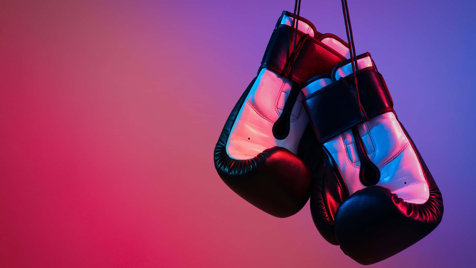 Boxing Gloves Neon Lights Background