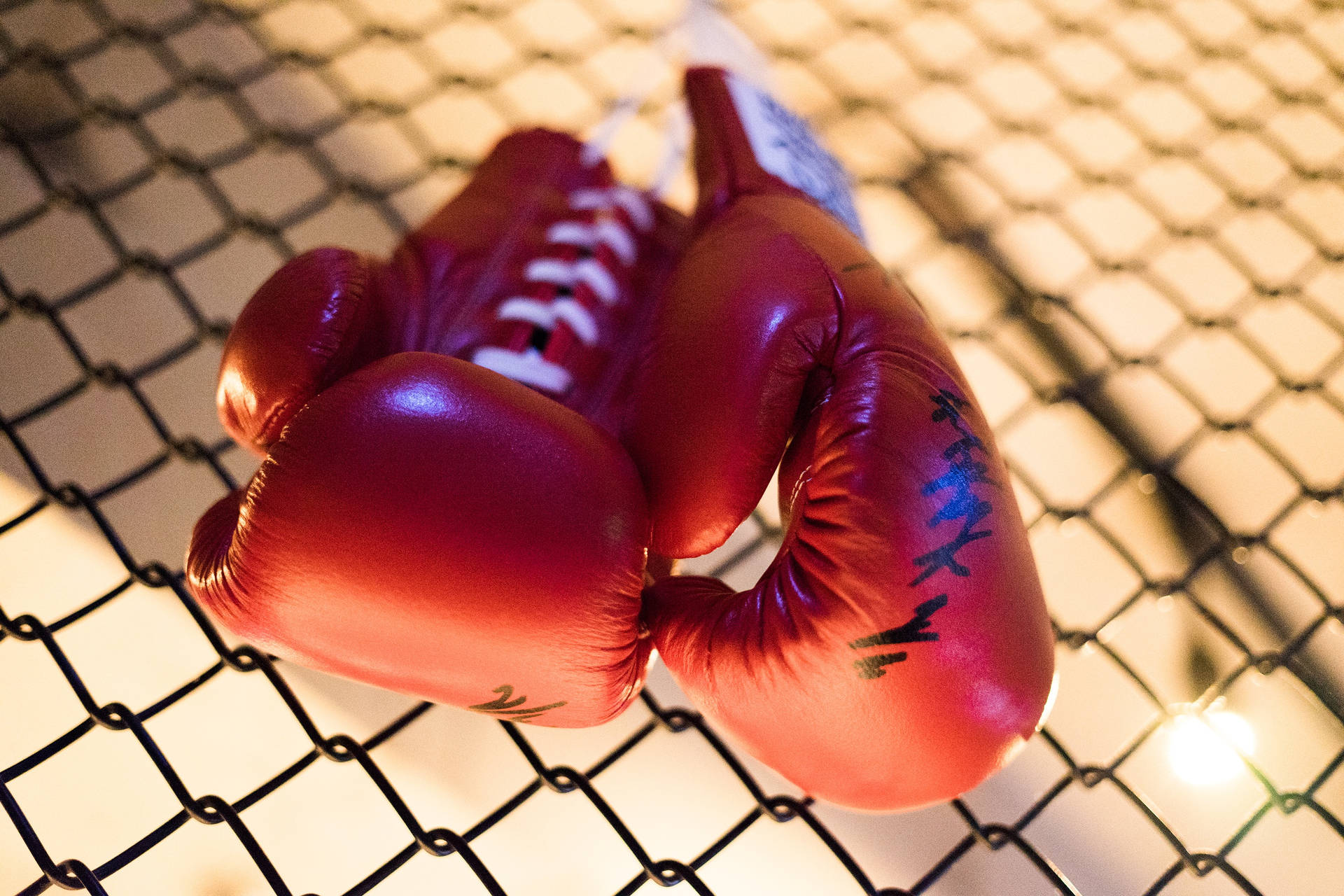 Boxing Gloves On Steel Wire Background