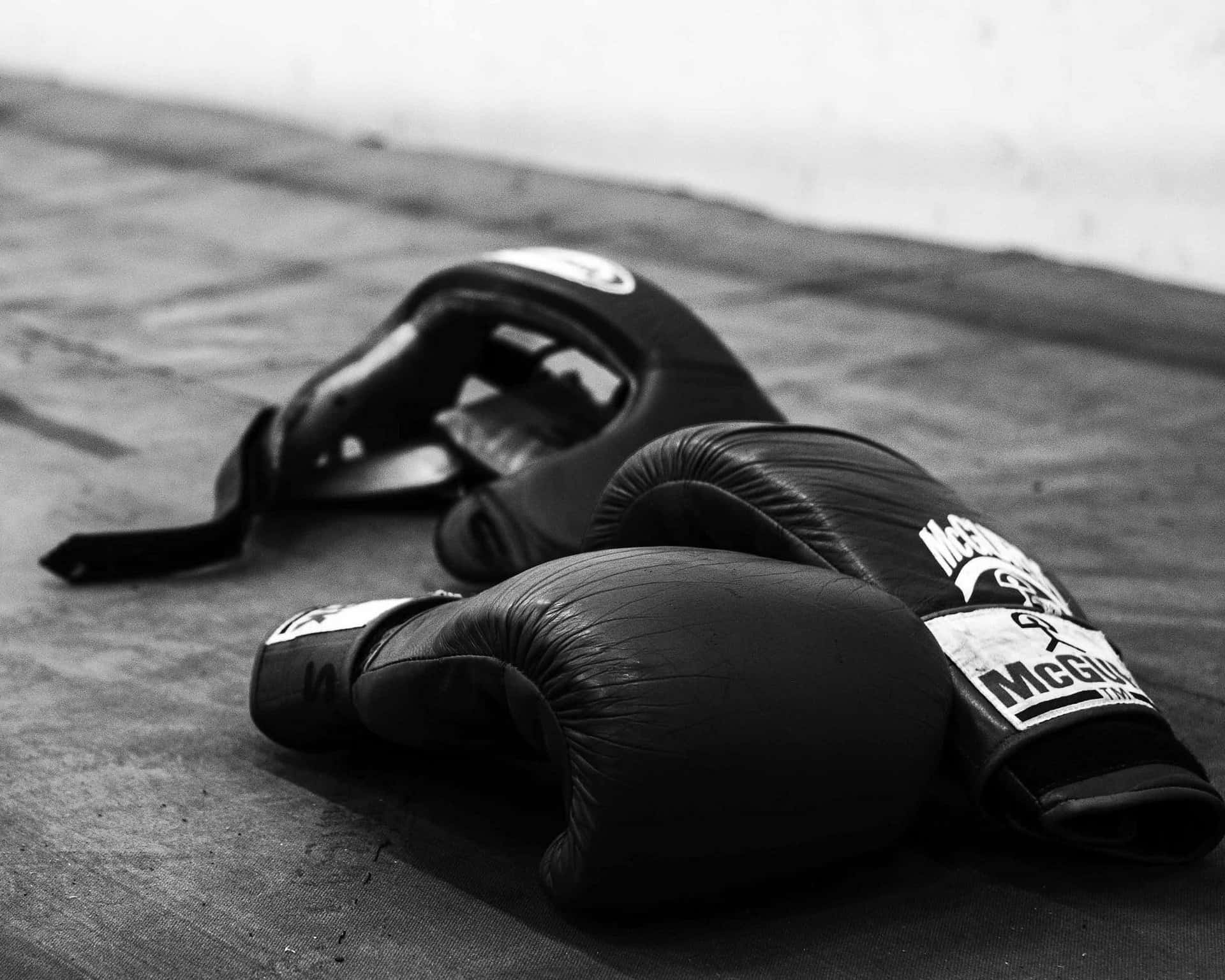 Boxing Glovesand Headgear Monochrome Background