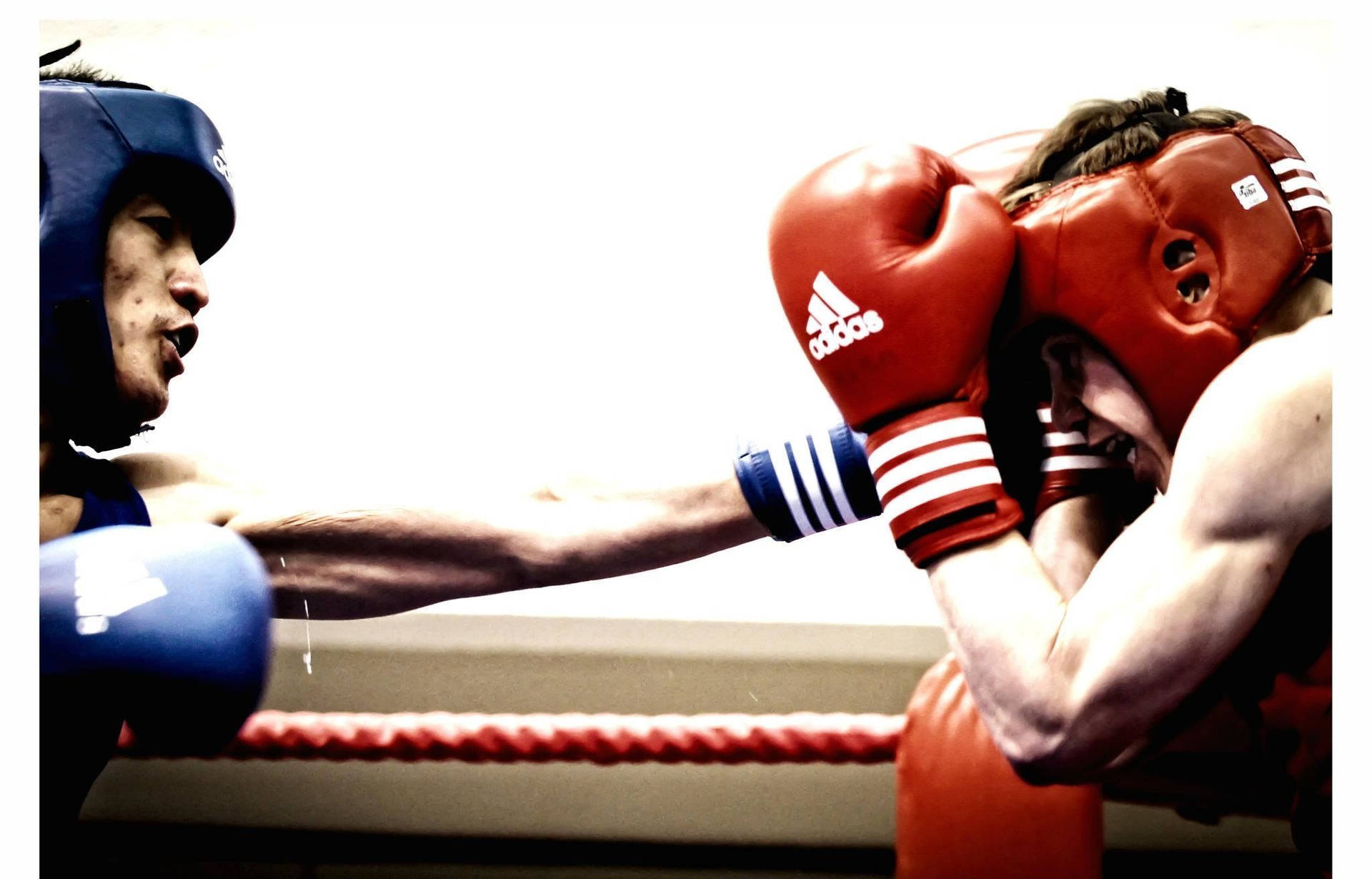 Boxing Jab Shot Background