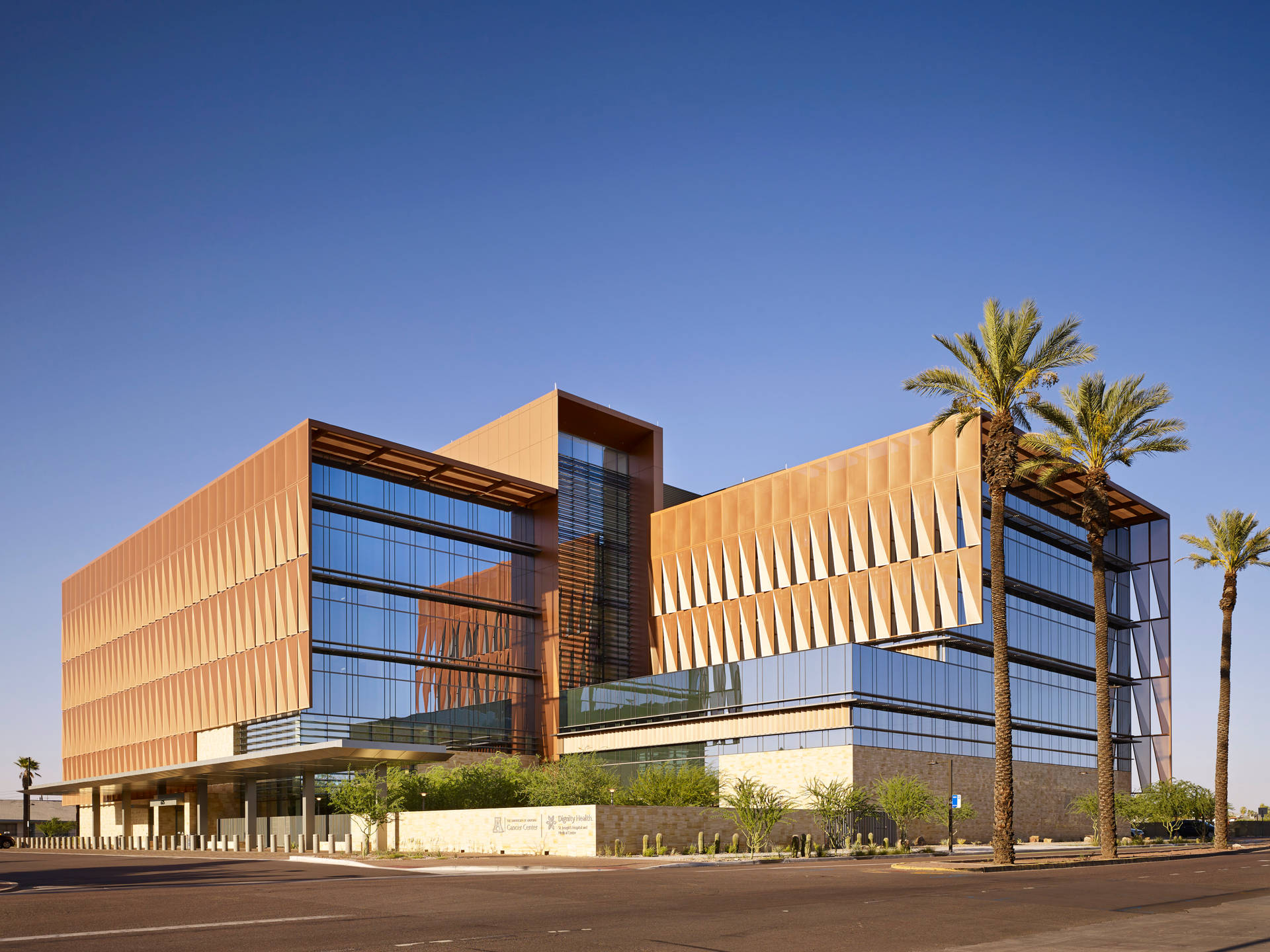 Boxy University Of Arizona