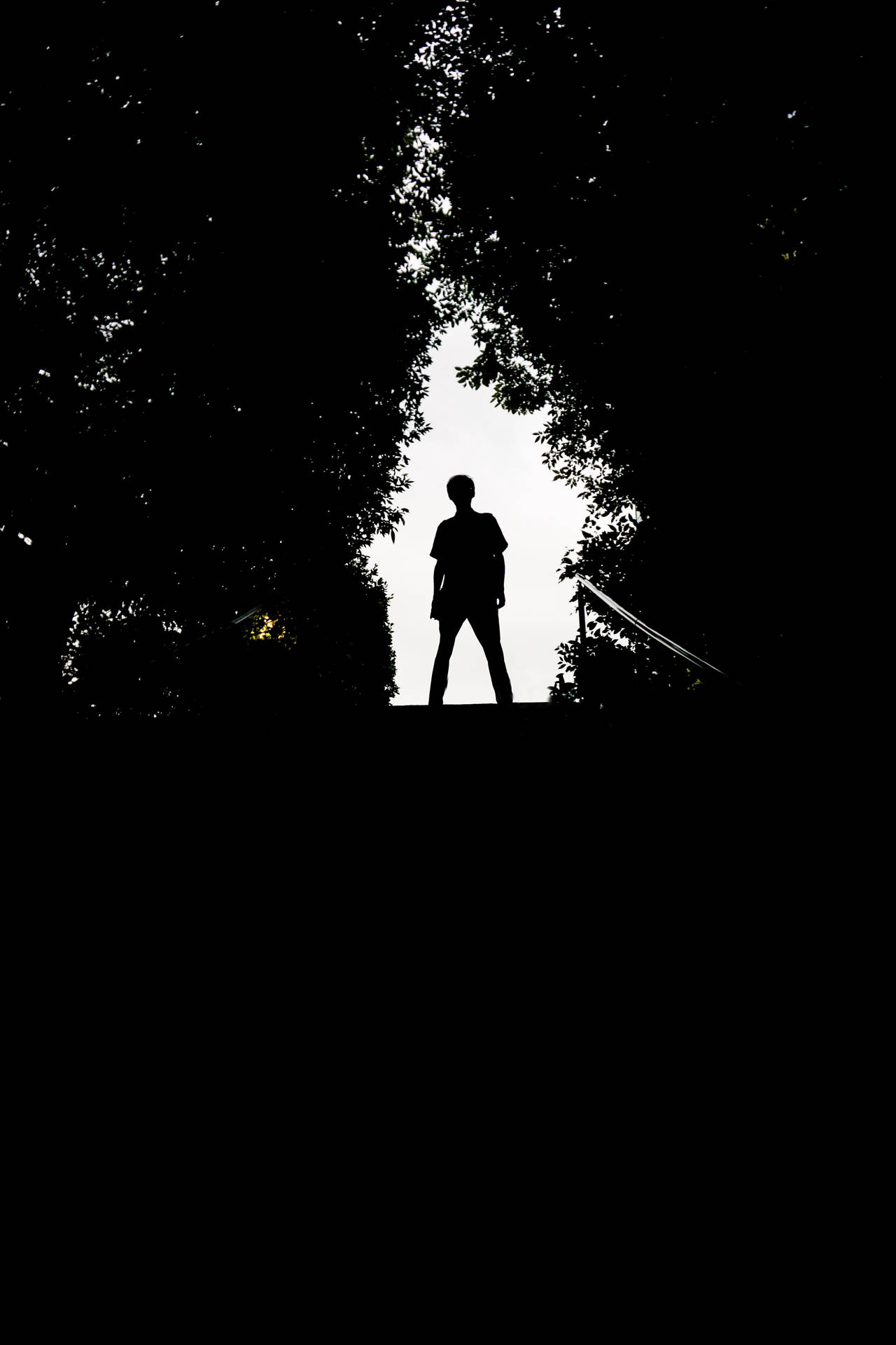 Boy Shadow Framed By Foliage
