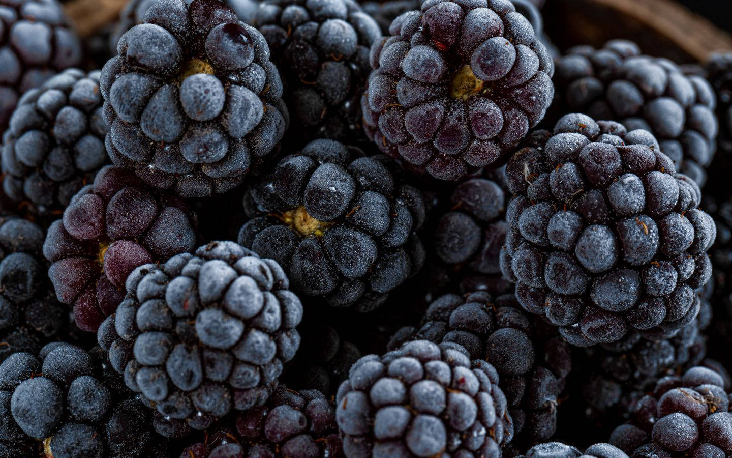 Boysenberry Antioxidants Rich Background