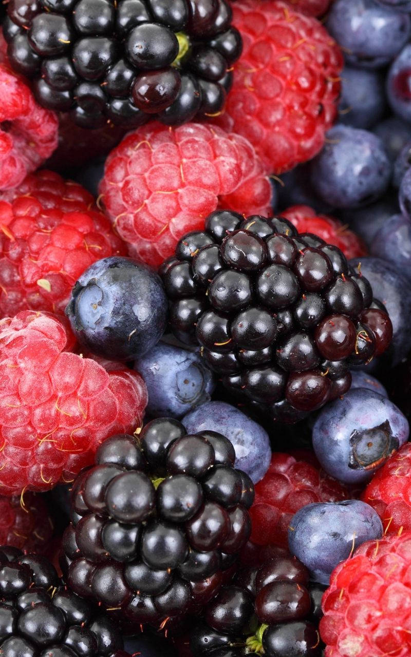 Boysenberry Mixed Berries Background