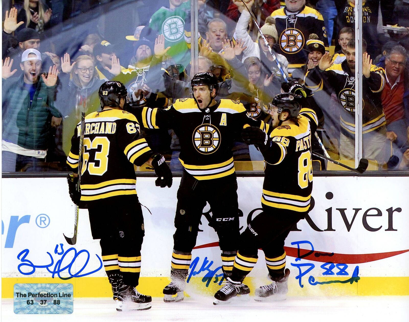 Brad Marchand Celebrating With Teammates Background