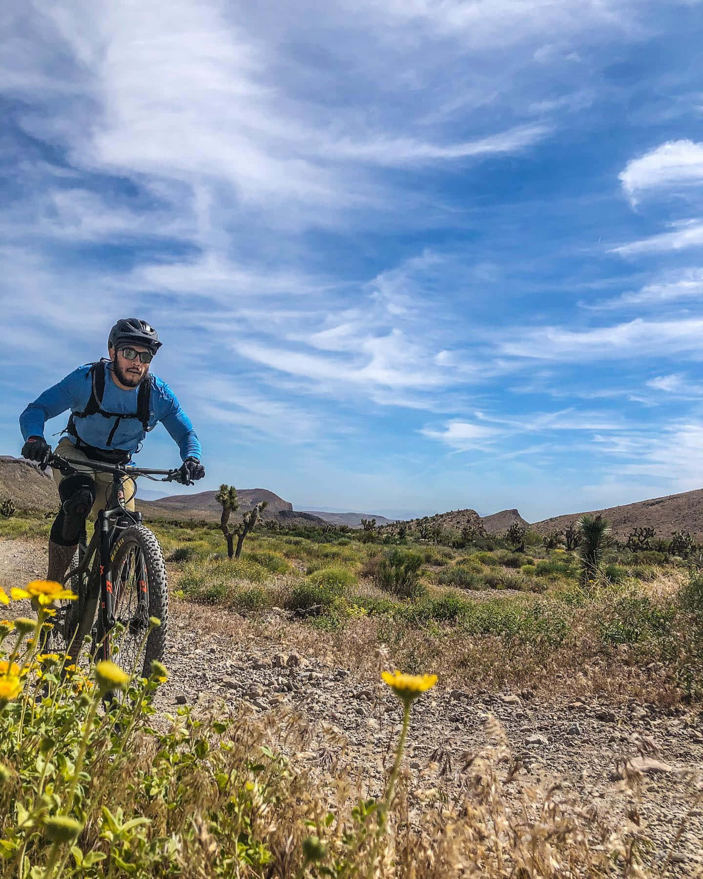 Brad Tavares Training On A Bicycle Background