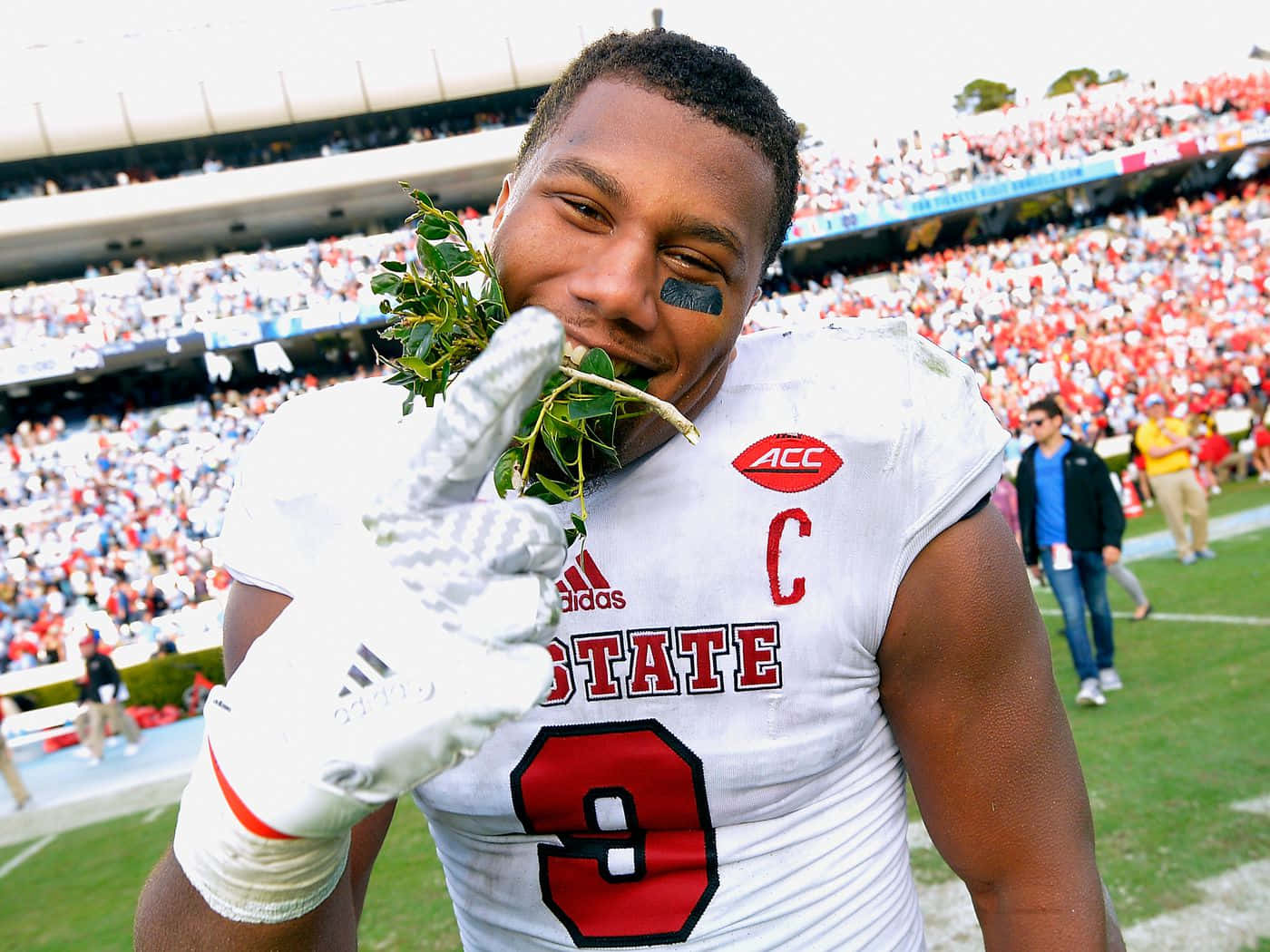 Bradley Chubb Goofy Side Background