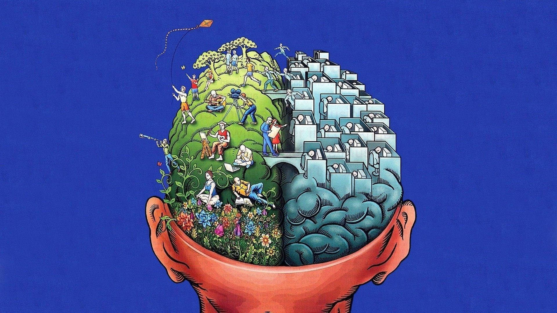 Brain Of A Wise Person