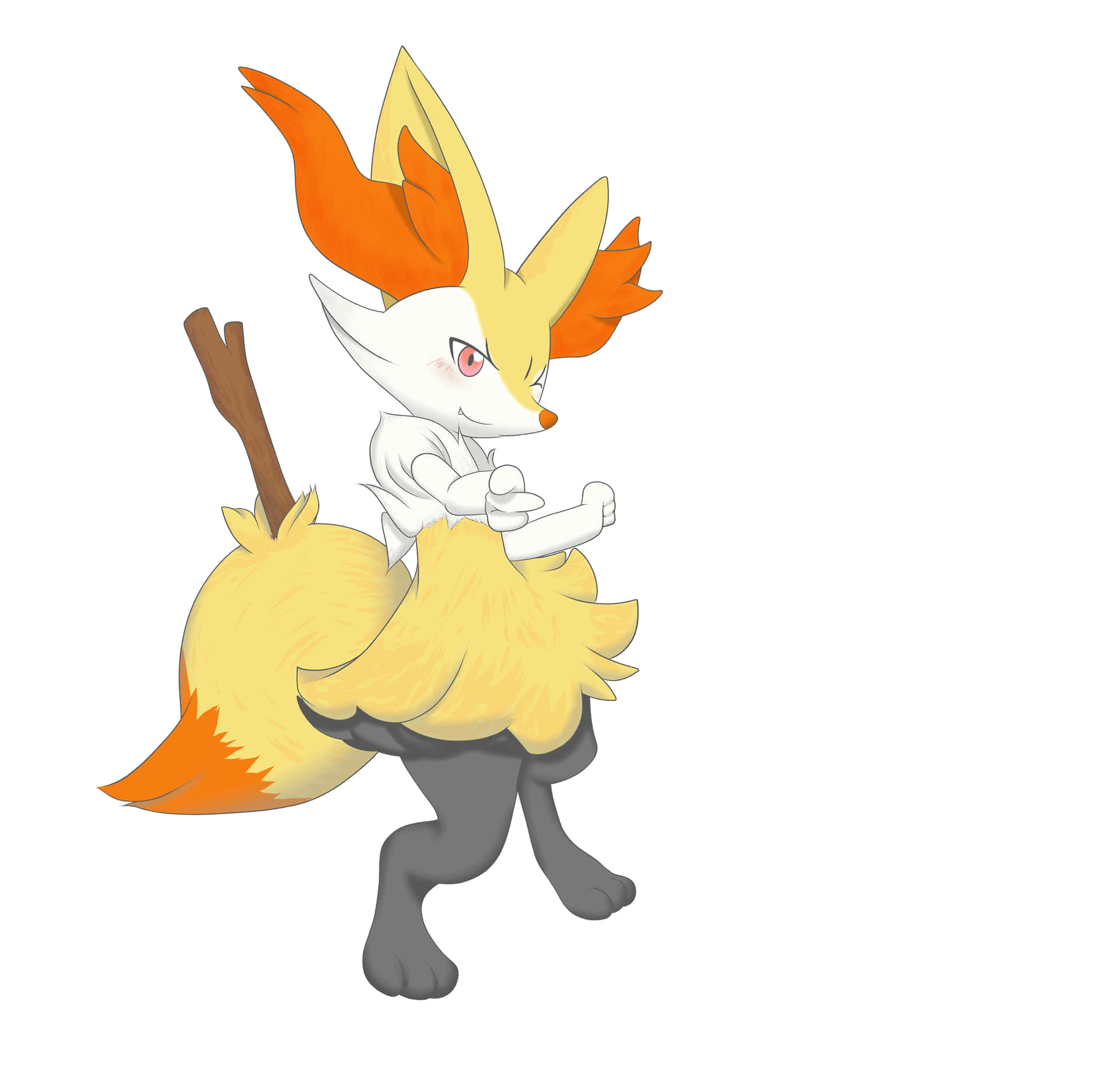 Braixen Pokemon Illustration Background