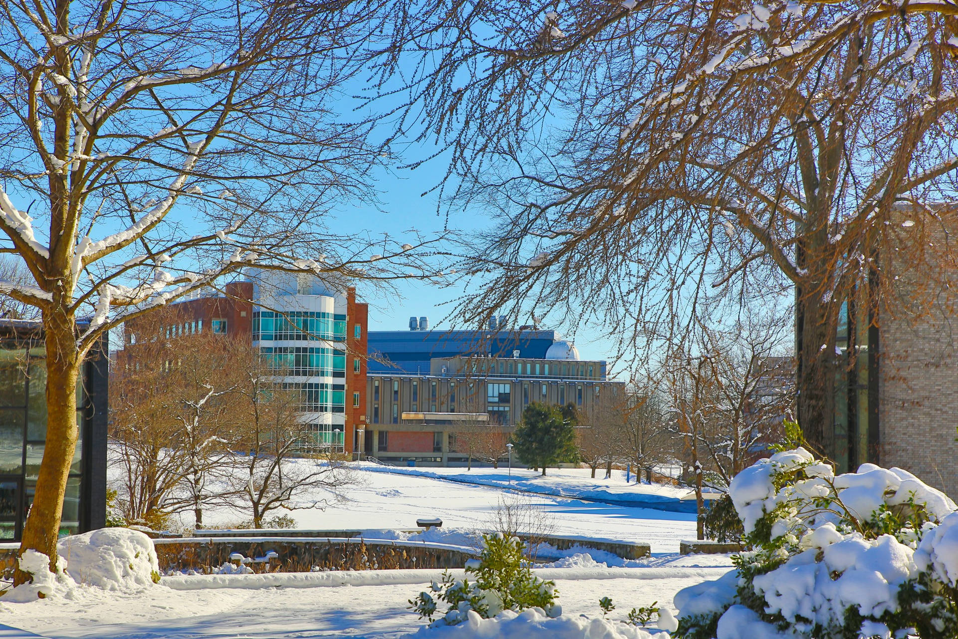 Brandeis University Campus During Winter