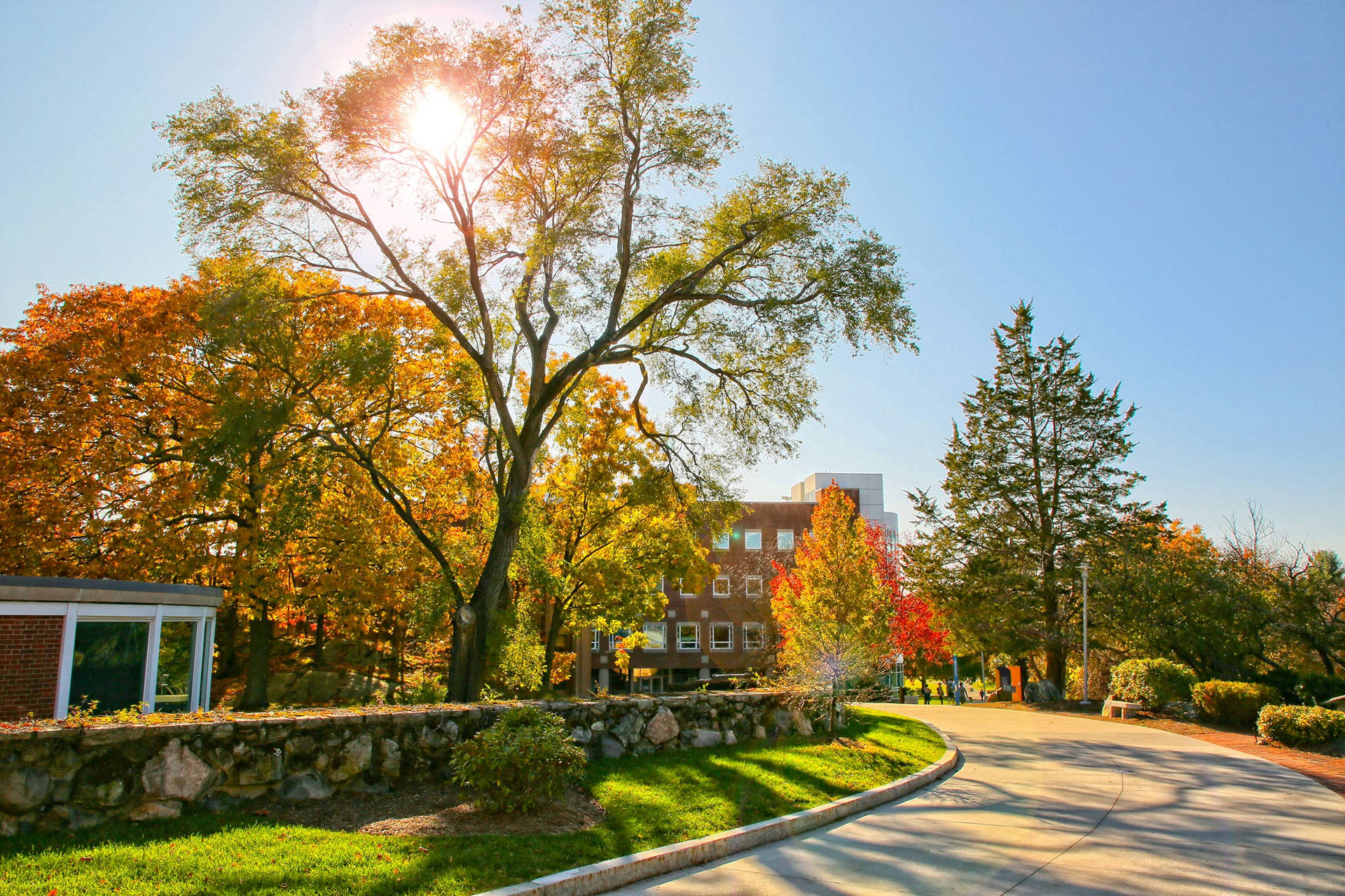 Brandeis University Campus View