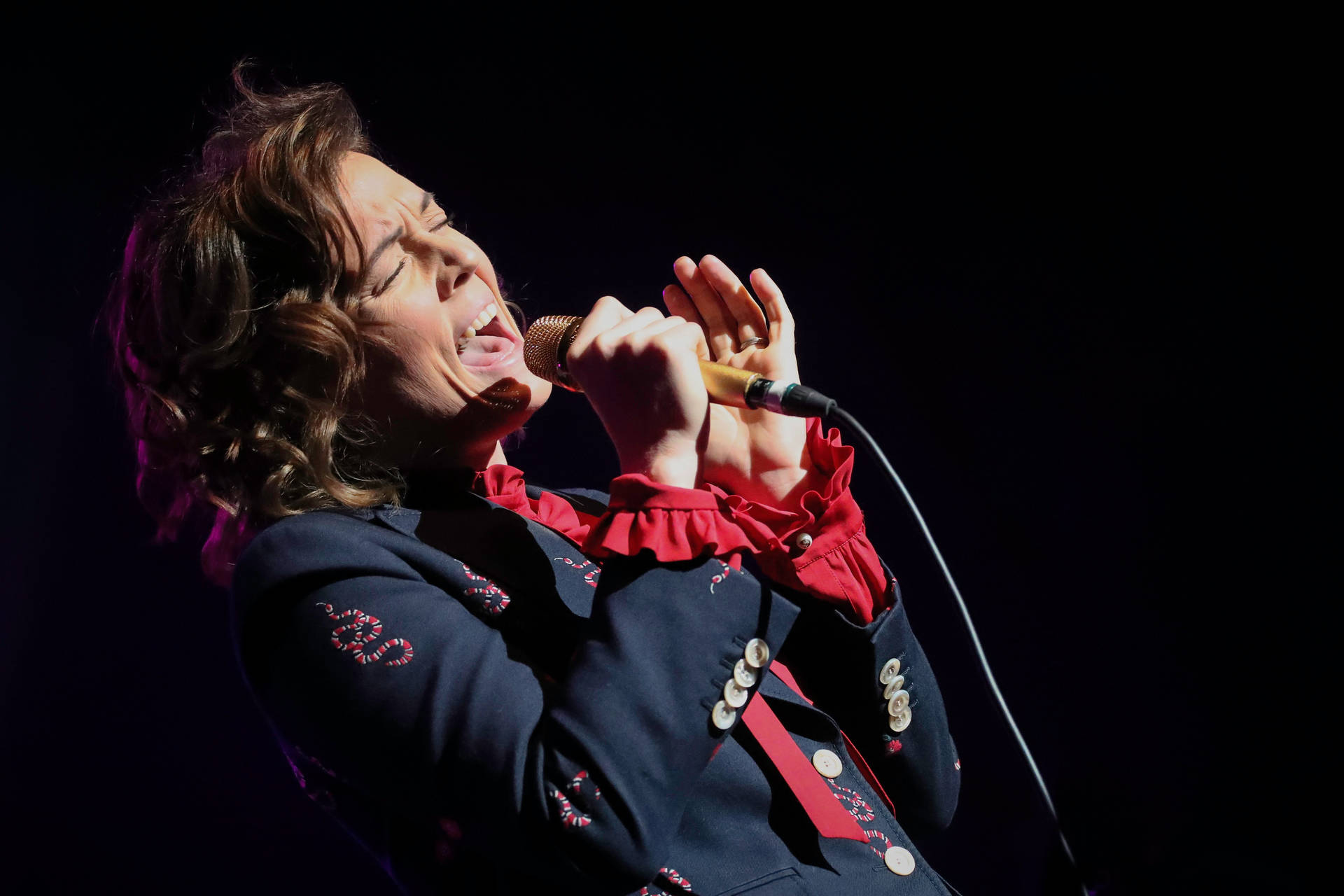 Brandi Carlile Passionate Performance Background