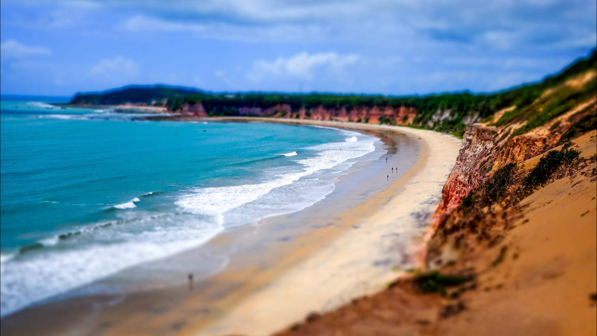 Brazil Pipa Beach Background