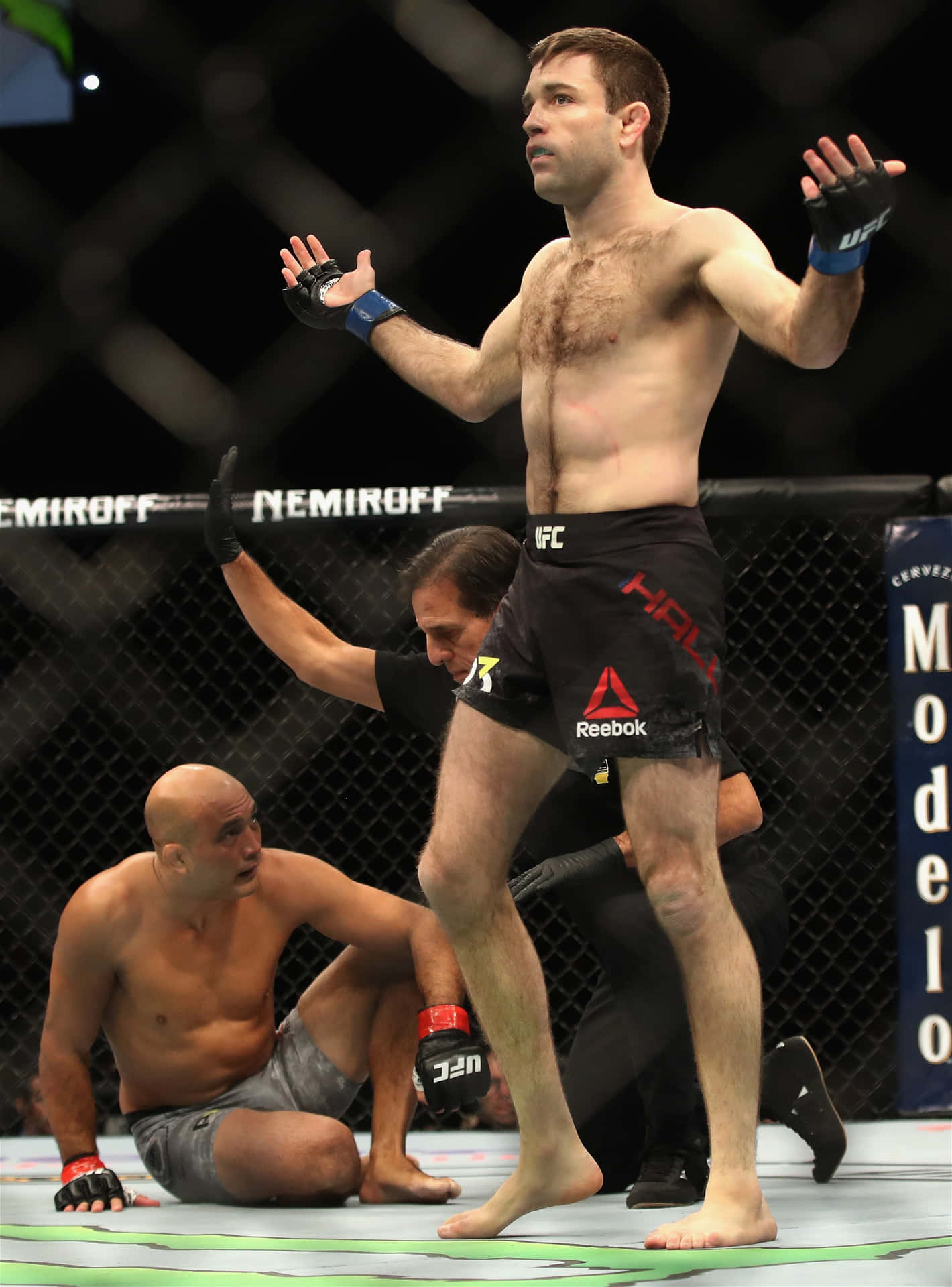 Brazilian Demian Maia Winning Moment Background