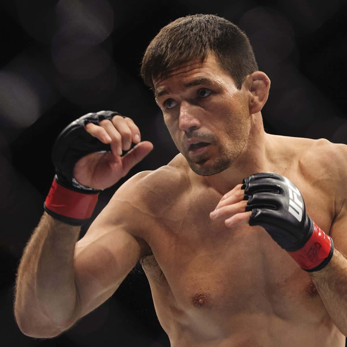 Brazilian Jiu-jitsu Expert, Demian Maia, In Action Background