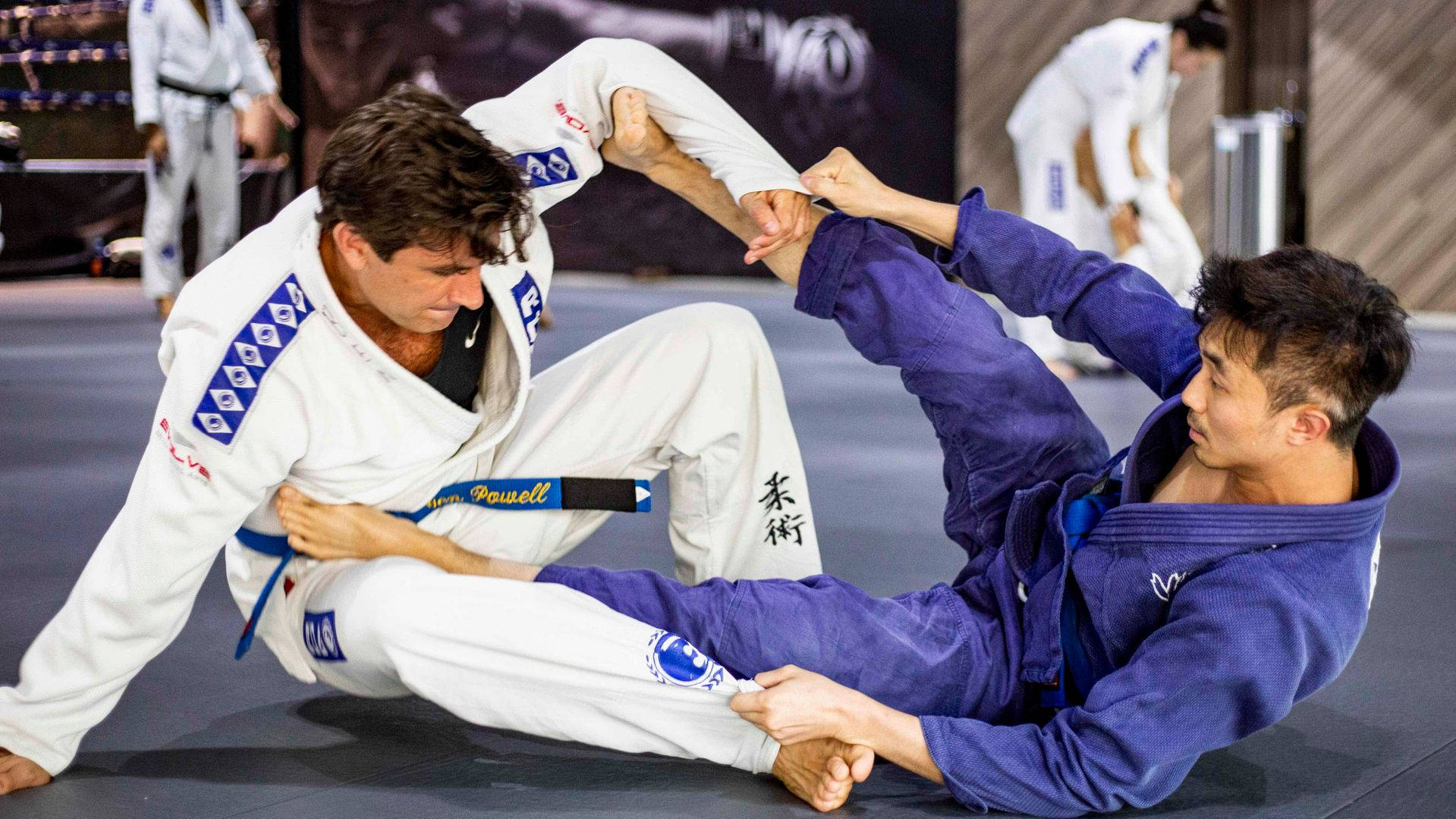 Brazilian Jiu-jitsu Grappling Fight Background