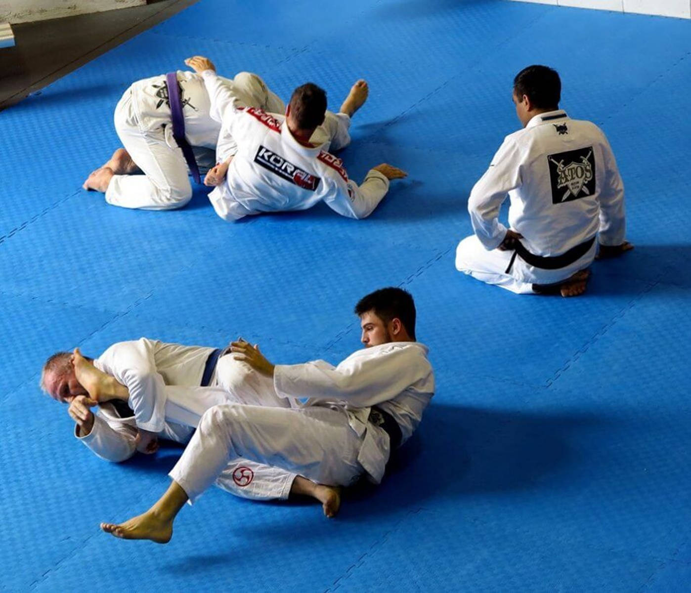 Brazilian Jiu-jitsu Training Session