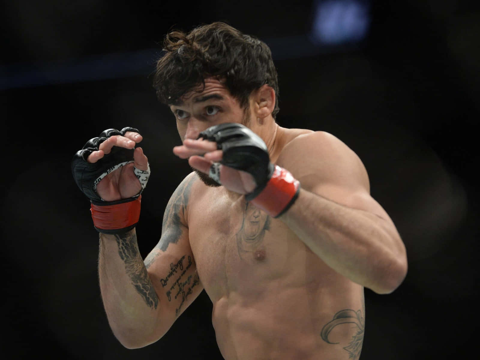 Brazilian Mixed Martial Artist Renan Barão Fighting Stance Background