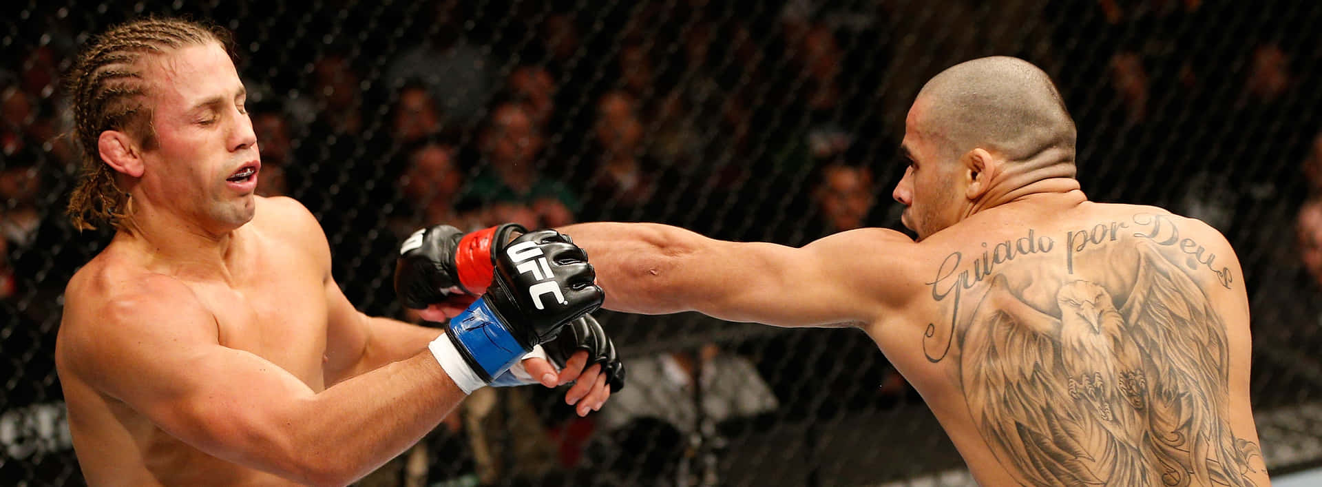 Brazilian Mixed Martial Artist Renan Barão Punch Background