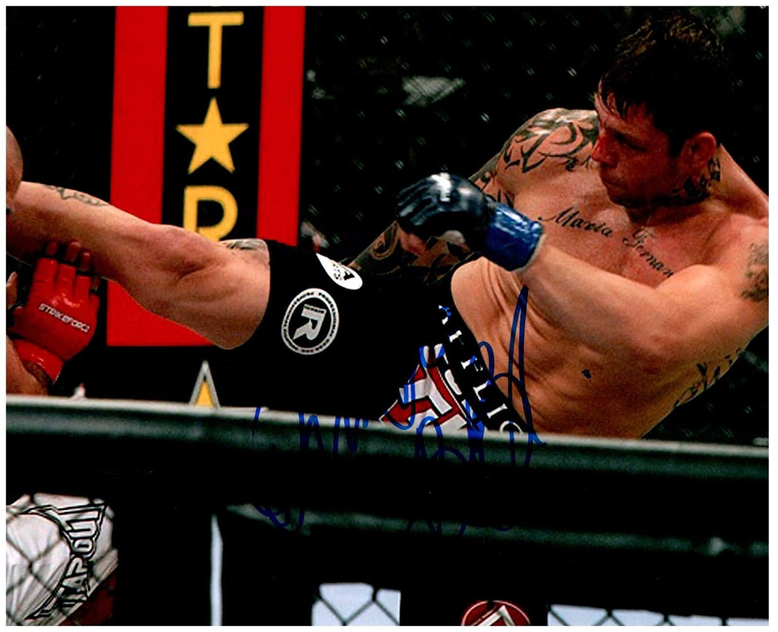 Brazilian Mixed Martial Artist, Renato Sobral, In A 2010 Strikeforce Match. Background