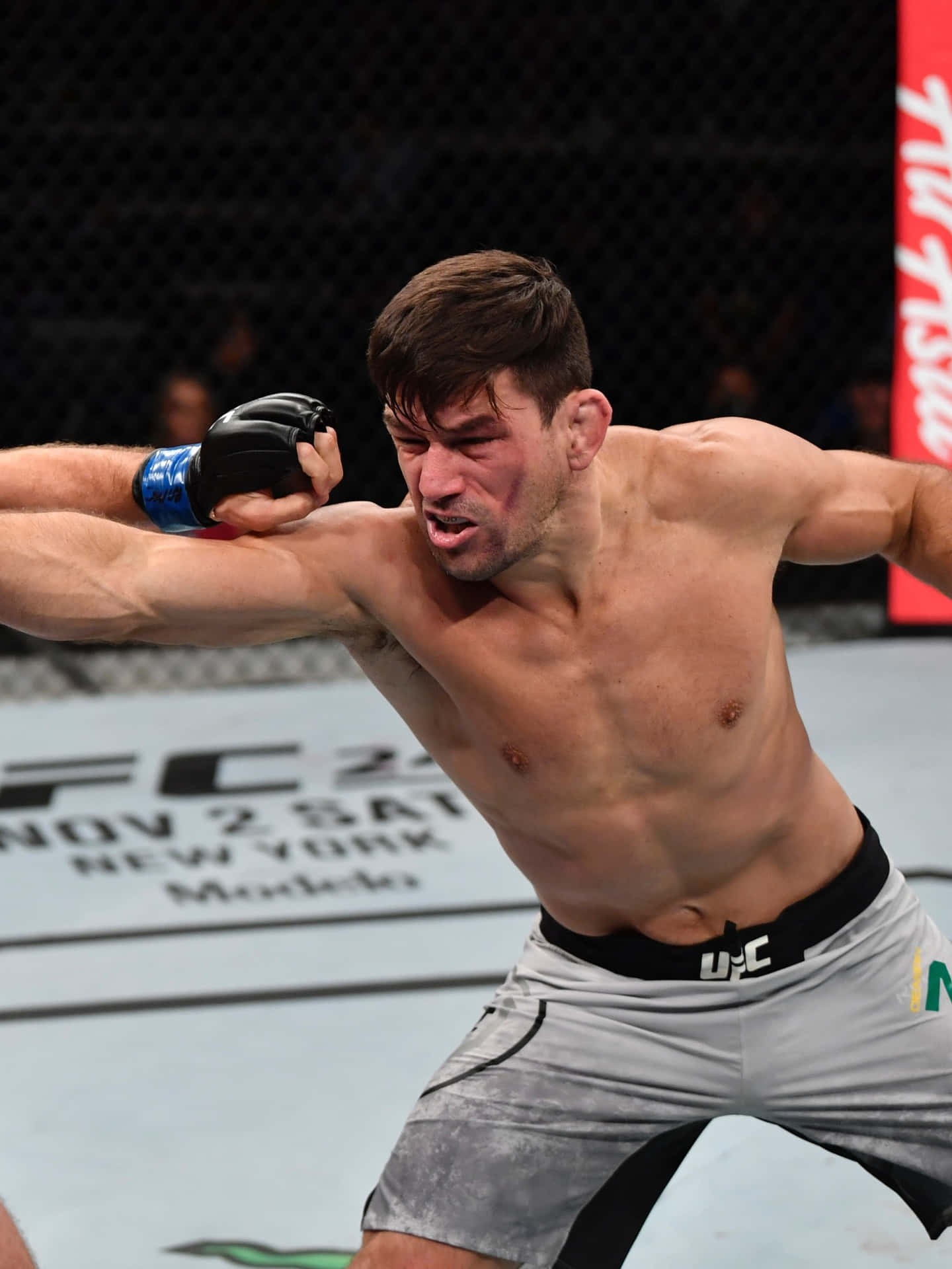 Brazilian Ufc Fighter, Demian Maia Power Punch