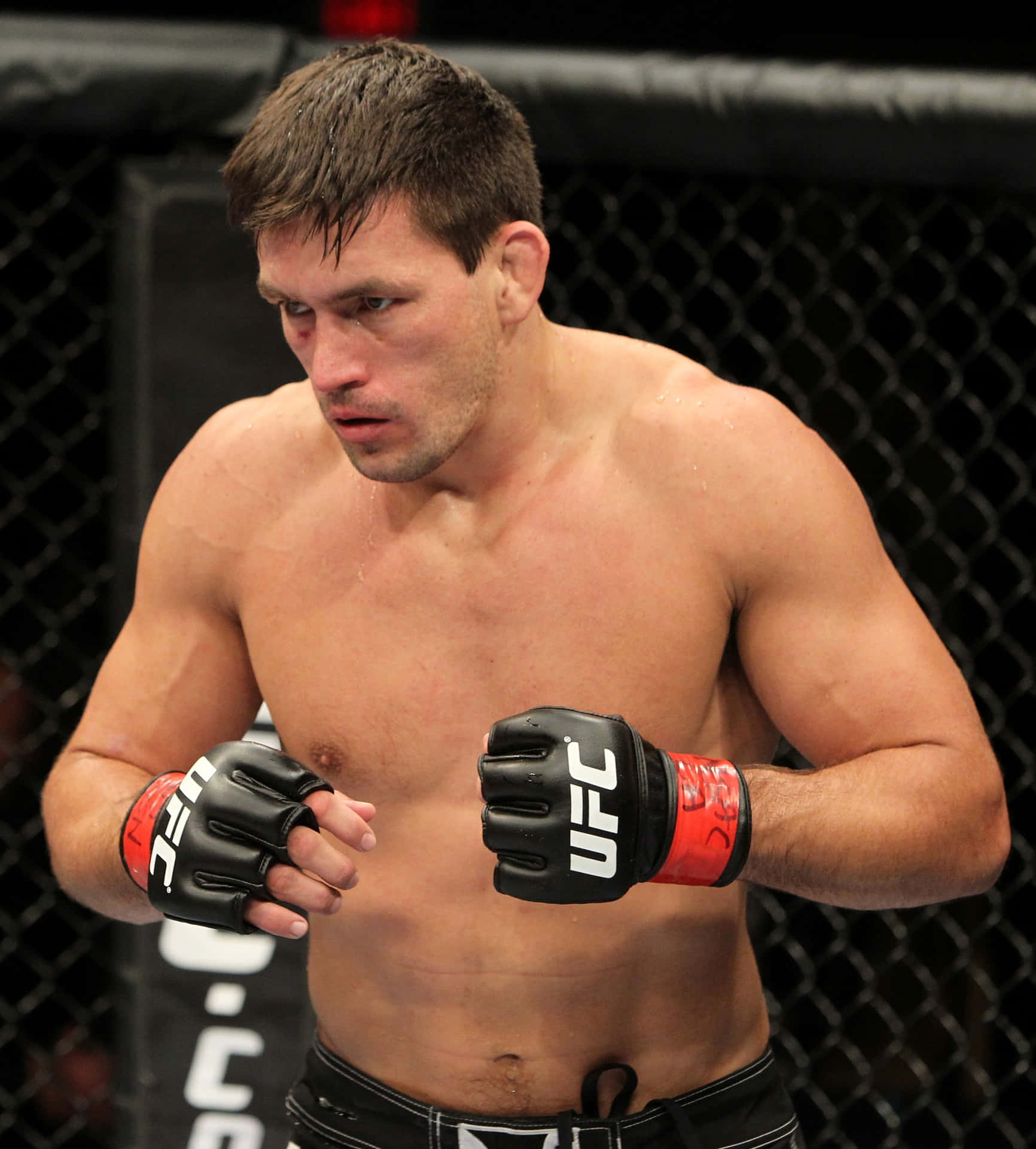 Brazilian Ufc Fighters Demian Maia Background