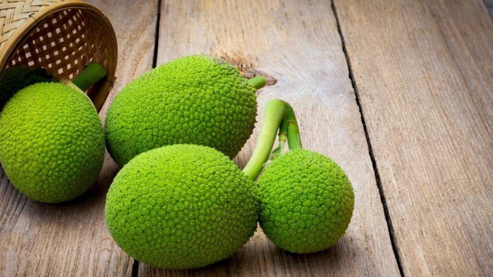 Breadfruit On Wooden Table Background