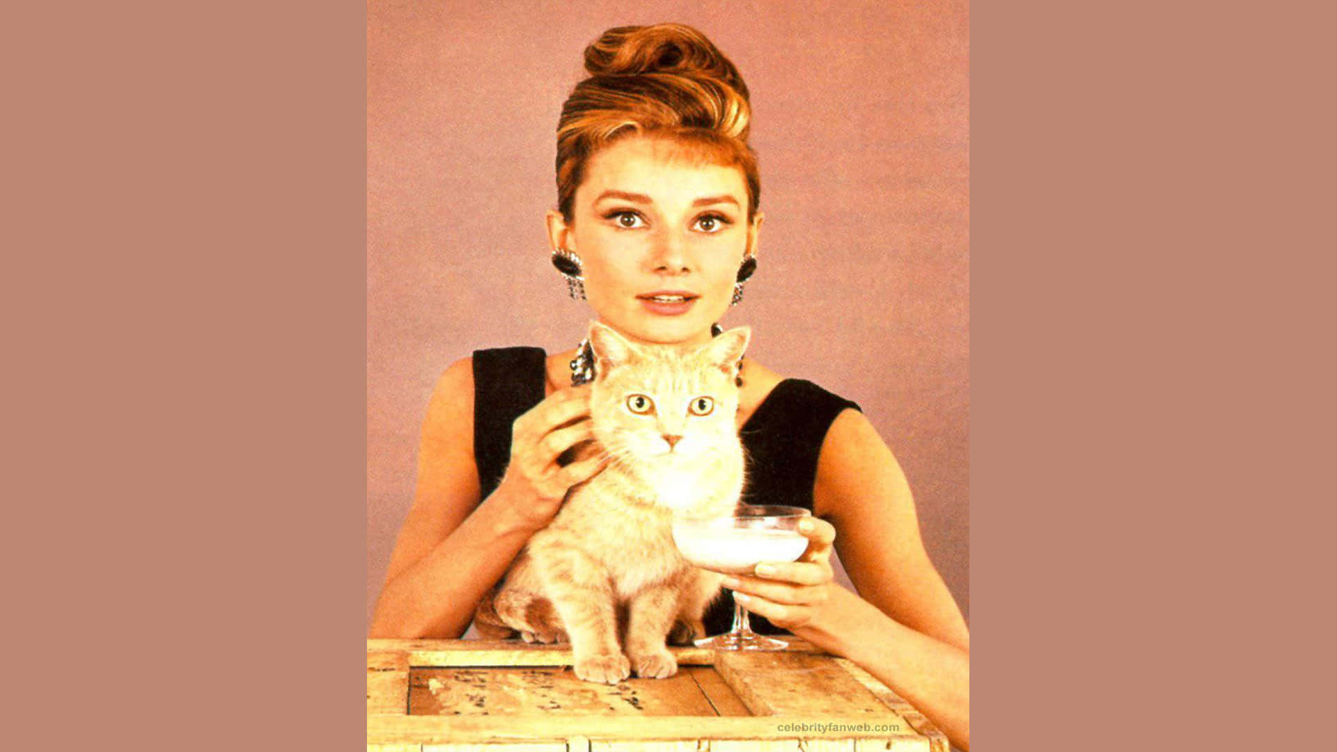 Breakfast At Tiffanys Audrey Hepburn With A Cat Portrait Background