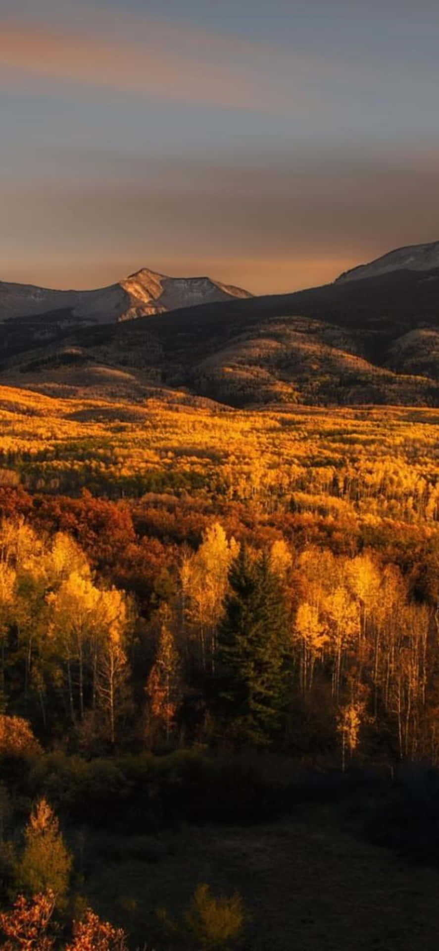 Breath-taking View Of Fall Mountain Background