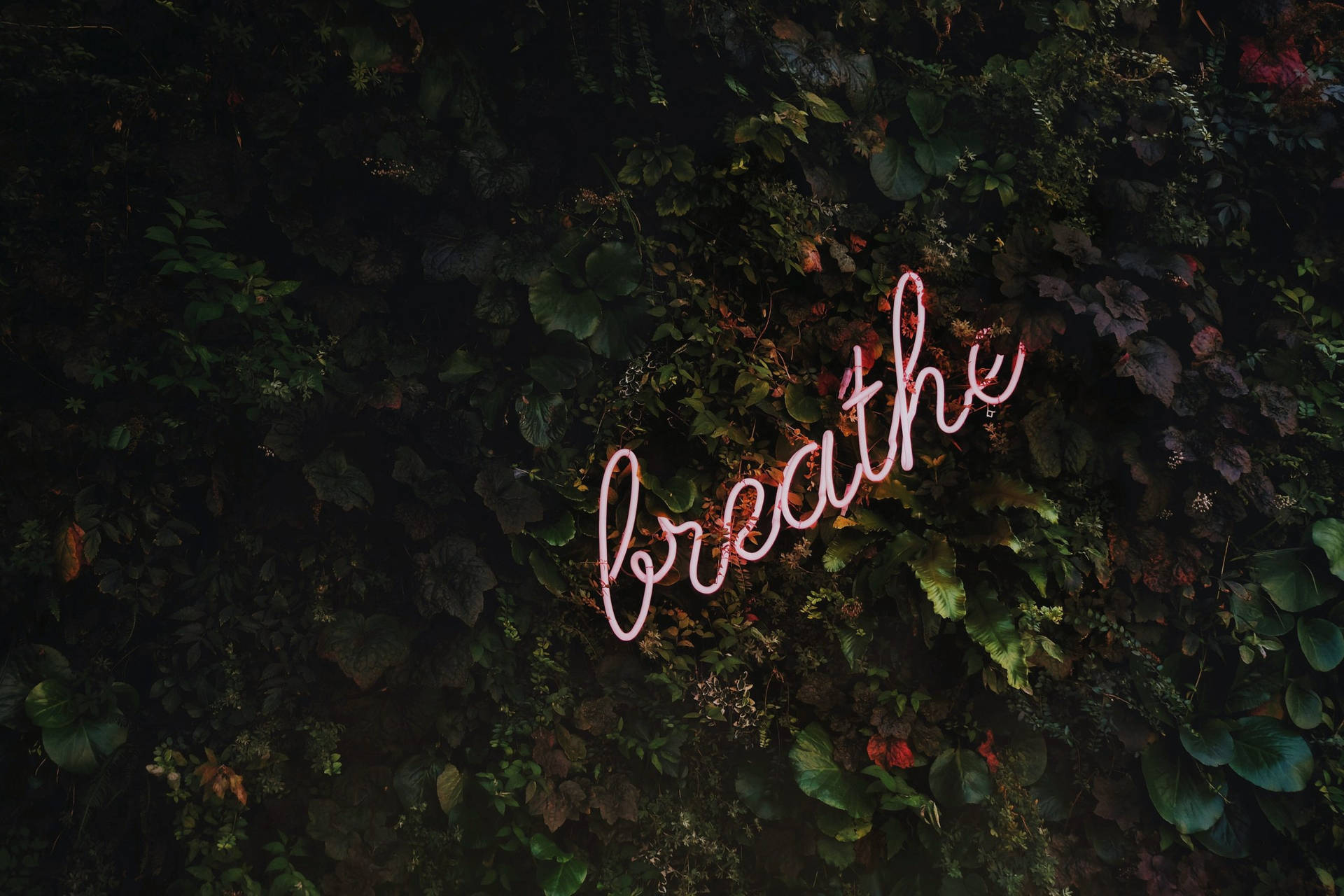 Breathe For Your Mental Health